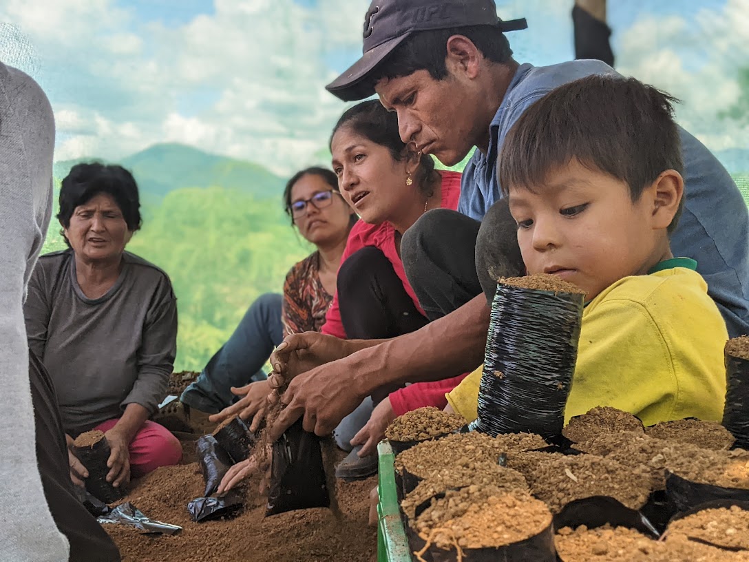 Bénéficiaires du projet d'Envol Vert au Pérou