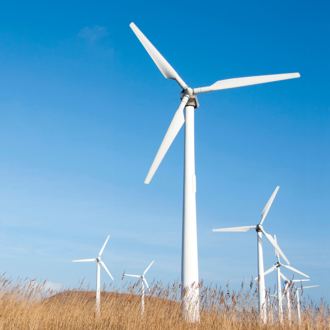 Réduire notre empreinte environnementale