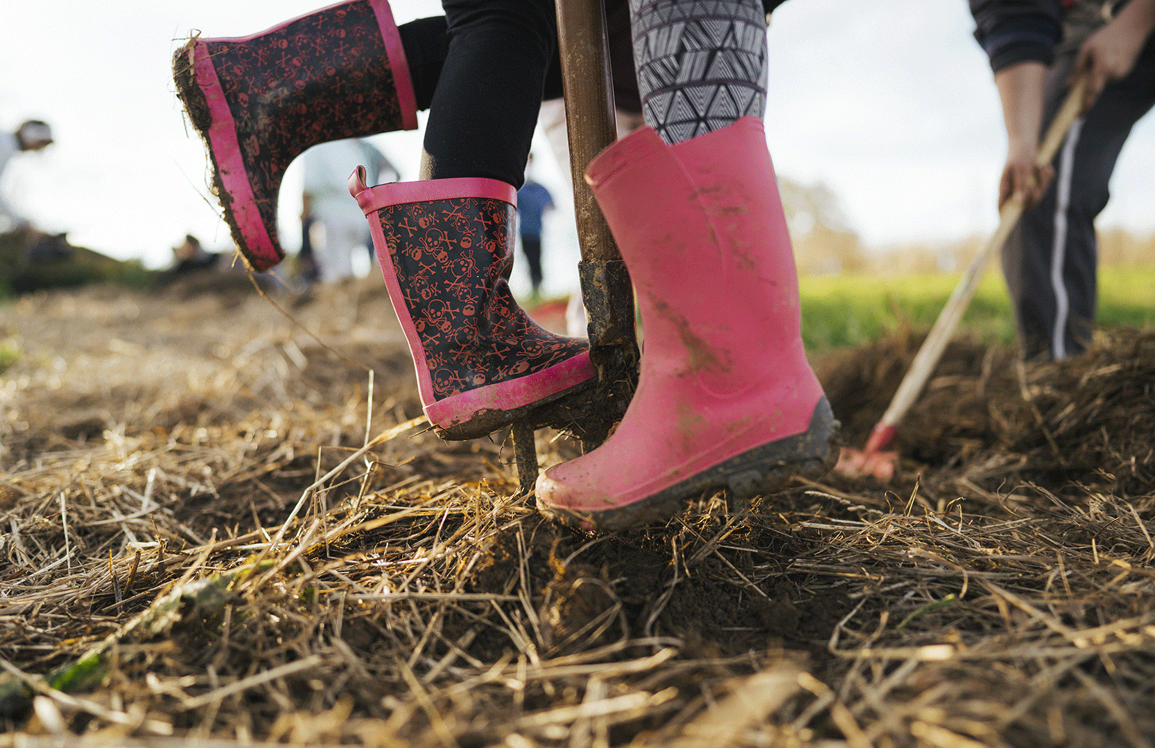 Children turning over the soil to plant trees. 