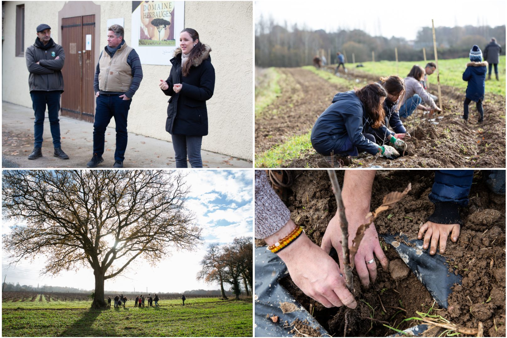 Aux Arbres chantiers de plantation