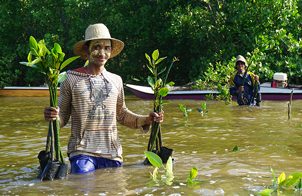 L'association Planète Urgence participe à la plantation de mangroves avec l'aide des populations locales