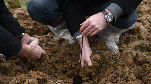 Les participants plantent les arbres