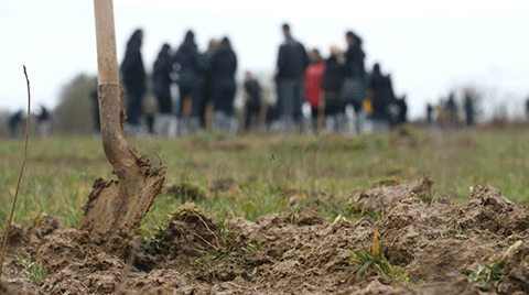 Les participants aux plantations citoyennes