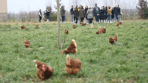 Fin de la plantation citoyenne