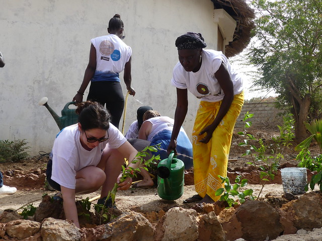 Collaborateurs Maisons du Monde en congés solidaires au Sénégal